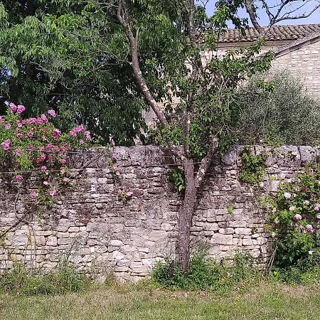 La Petite Maison Aux Lezards * Le Garn